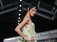 Just Cavalli