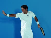 Fernando Verdasco