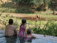 Luxusný Pafuri Camp  ponúka nevšedné zážitky