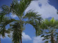 Raj na zemi - Tropical Islands neďaleko Berlína