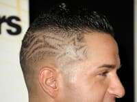 Mike Sorrentino