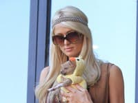 Paris Hilton