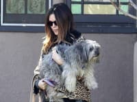 Rachel Bilson