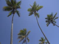 Luxus a exotiku nájdete na ostrove Zanzibar