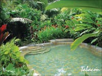 Tabacon Grand Spa Thermal