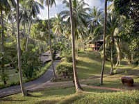 Tamarind Springs Forest Spa