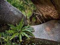 Tamarind Springs Forest Spa