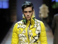 kolekcia D&G
