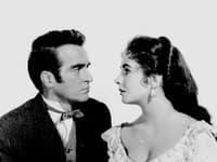 Elizabeth Taylor