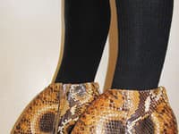 Alexander McQueen
