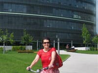 Elektrobike Agogs City Liner