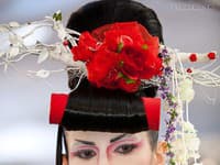Účesy zo súťaže Hair Cup 2012