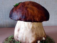 Unikátne torty vyrážajú dych
