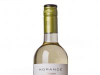 Sauvignon Blanc Pionero (Vina Morandé, 2010)