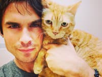 Herec Ian Somerhalder miluje zvieratá a pravidelne sa s nimi fotí