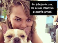 Pes sa podobá na svojho majiteľa na nepoznanie
