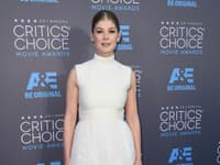 Rosamund Pike je nominovaná na Oskara vďaka filmu Gone Girl