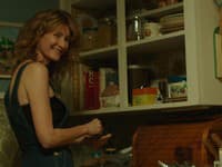 Film inšpirovaný skutočným príbehom a zároveň svetovým bestsellerom s názvom DIVOČINA