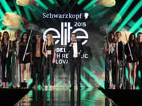 Vyhlasovanie výsledkov nových tvárí Schwarzkopf Elite Model Look 2015 pre SR a ČR