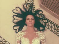 Najlikovanejšiu fotku roka vytvorila Kendall Jenner