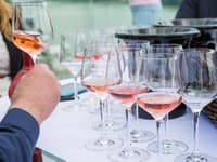 V piatok 20. mája sa v priestoroch bratislavského River Parku uskutočnila súťaž  TOP slovenské Rosé  2016