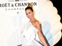 Modelke a blogerke Michaele Štoudkovej ide karta