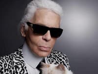Karl Lagerfeld nedá na svoju Choupette dopustiť