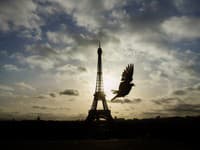 Paríž je Karolínine najobľúbenejšie mesto