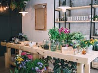 Botanical Lab vytvorila dvojica mladých žien, ktoré spája láska k prírode a poctivému dizajnu