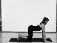 Základná pozícia cviku downward dog