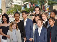 Jednoducho treba uznať, že Angelina Jolie to má v hlave skutočne dobre upratané