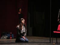 Venessa si v novopripravovanom muzikále zahrá dcéru