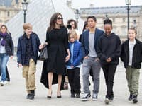 Ako správna mama si Angelina Jolie vyčlenila aj jeden deň, ktorý strávila so svojimi ratolesťami