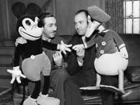 Filmový génius Walt Disney získal svoju prvú sošku už v roku 1932 za animovaný film a v tom istom roku získala Oscara za vytvorenie kreslenej postavičky Mickeyho