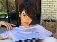 Trikom Kendall, aby jej pleť pôsobila ako poprášená slnkom, nie je nič iné než bronzer, ktorý nanesie štetcom v tvare kupoly na lícne kosti a po krku