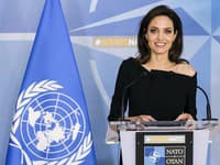 Angelina tiež priznala, že je jedinou osobou v jej dome, ktorá sa narodila v Amerike. Že len vďaka tomu, že verí v to, čo tiež učí svoje dcéry, môže mať rodinu akú má