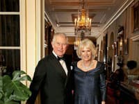 Camilla sa nakoniec za princa Charlesa vydala, hoci bola dlho tŕňom v oku verejnosti