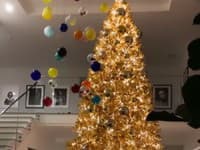 Tento rok sa najmladšia z rodiny, Kylie Jenner, už na instagrame pochválila takýmto vianočným stromčekom