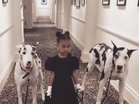 Rozkošnej dcérke Kim Kardashian to naozaj veľmi pristane takmer vo všetkom