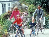 Túto vlastnosť majú princ Harry a William spoločnú