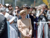  Kráľovná ľudský sŕdc, starostlivá matka, módna ikona aj taká bola princezná Diana