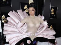 O speváčke Cardi B už dávno vieme, že rada vyčnieva z davu a nestalo sa inak ani na červenom koberci na odovzdávaní cien Grammy