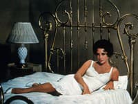 Bielizňové šaty prvykrát odprezentovala nezabudnuteľná Elizabeth Taylor vo filme Mačka na rozpálenej plechovej streche v roku 1958