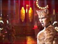 Legendárny muzikál Cats, ktorý sa hrá na newyorkskom Broadway patrí medzi najdlhšie hrajúce sa predstavenia