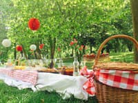 Pikniková maniačka Petra Millerová  premenila svoje celoživotné hobby na jedinečné podnikanie