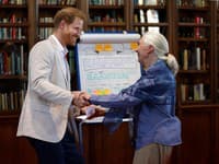 Nedávno vystúpil princ Harry v televízii, kde s ním robila rozhovor ochranárka Jane Goodall a princ prezradil toto