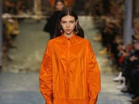 Tiger Orange je, podobne ako šelma, podľa ktorej je pomenovaná, odvážna a nebezpečná