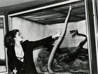 Retrospektívna výstava Helmut Newton in Dialogue. Fashion and Fictions, ktorú múzeum Kampa vytvorilo v spolupráci s galériou Kicken Berlín, predstavuje fotky legendárneho, pôvodom nemeckého fotografa Helmuta Newtona. 