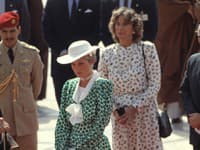 Podstúpila princezná Diana nejaké procedúry?