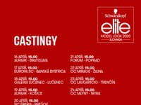 Castingy Schwarzkopf Elite Model Look 2020 štartujú už čoskoro!